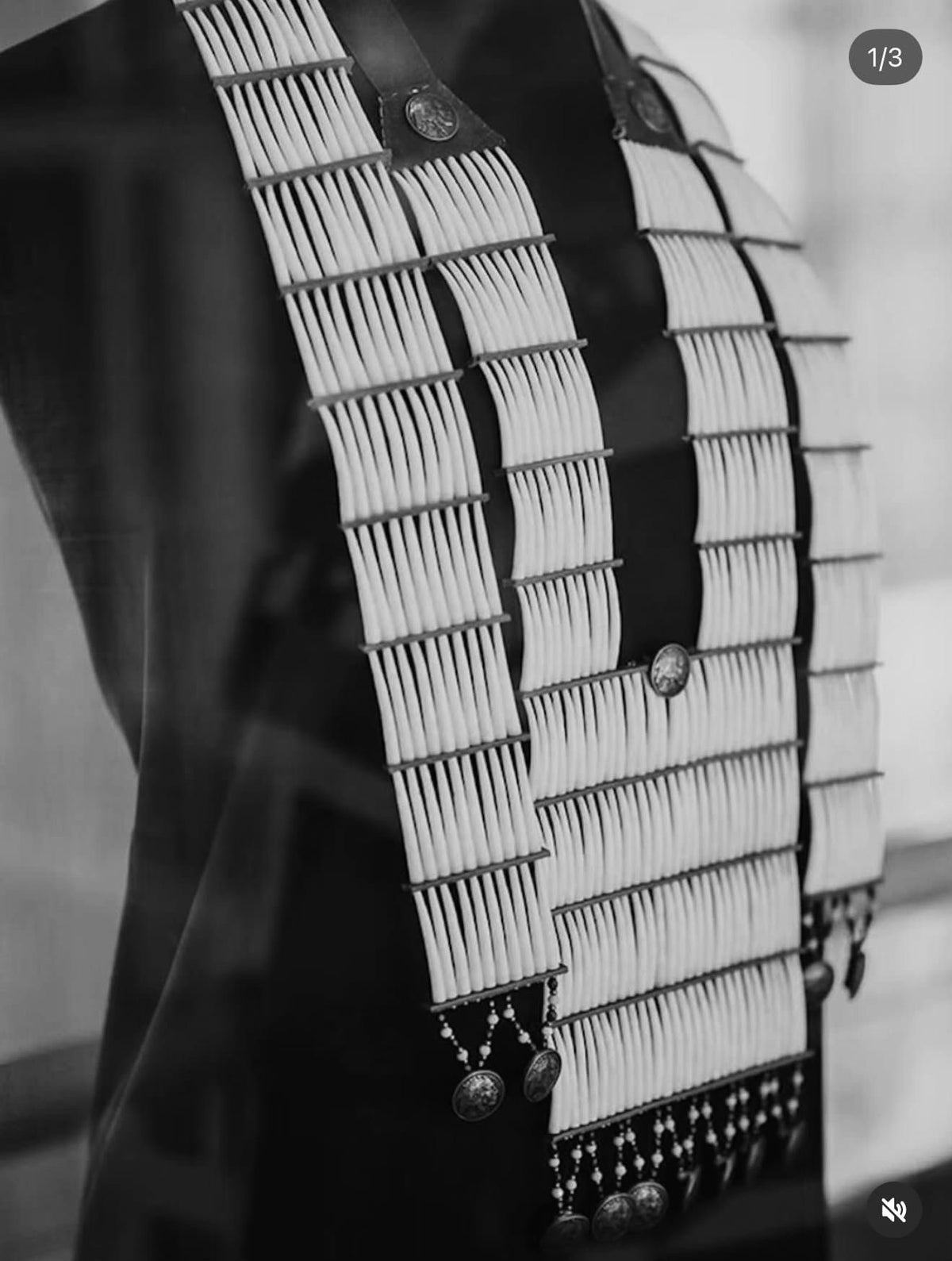J.Y - Custom Silver Chief Coin Dentalium Breastplate Hair Ties.