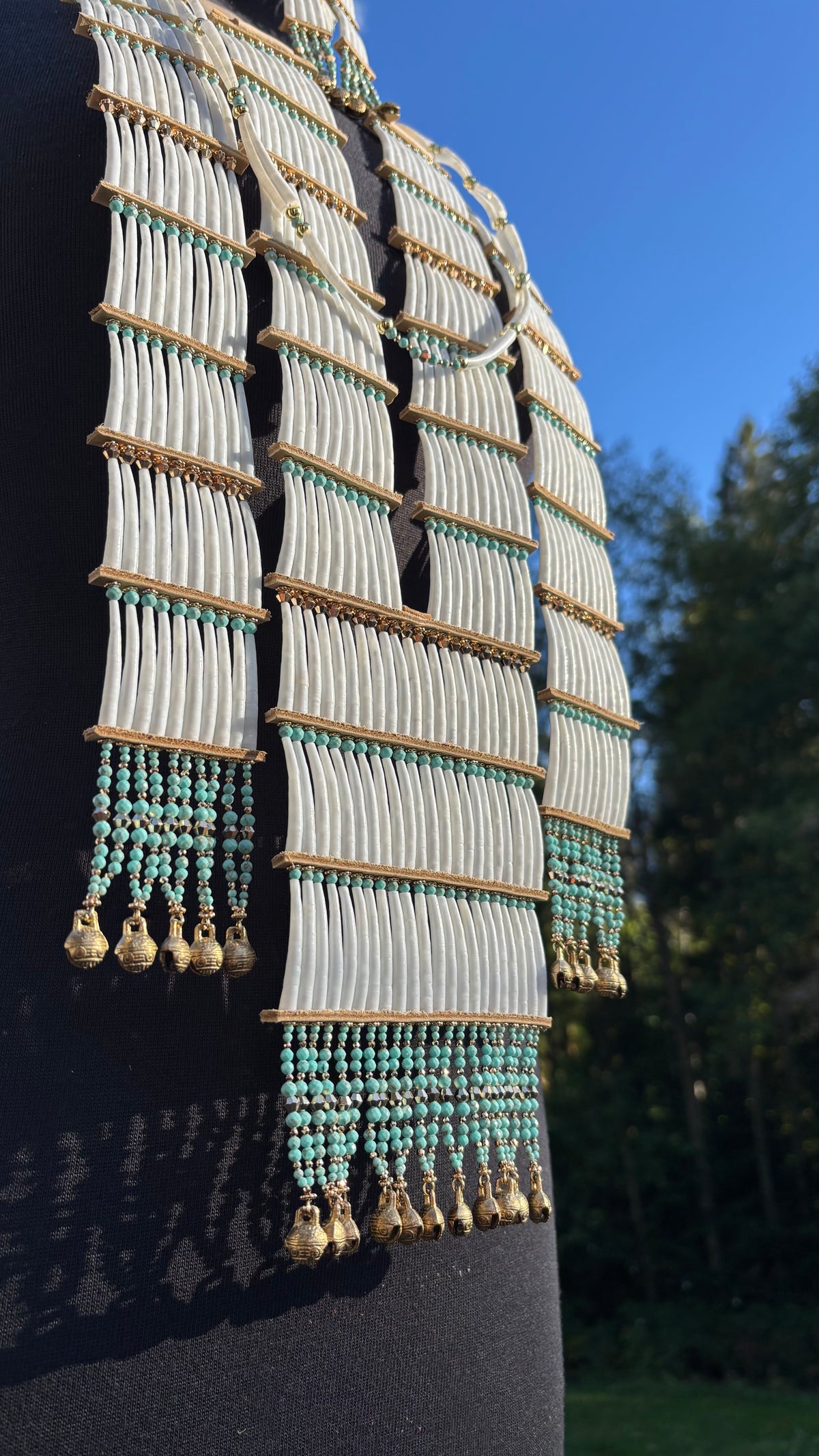 Turquoise Colorway Dentalium Set