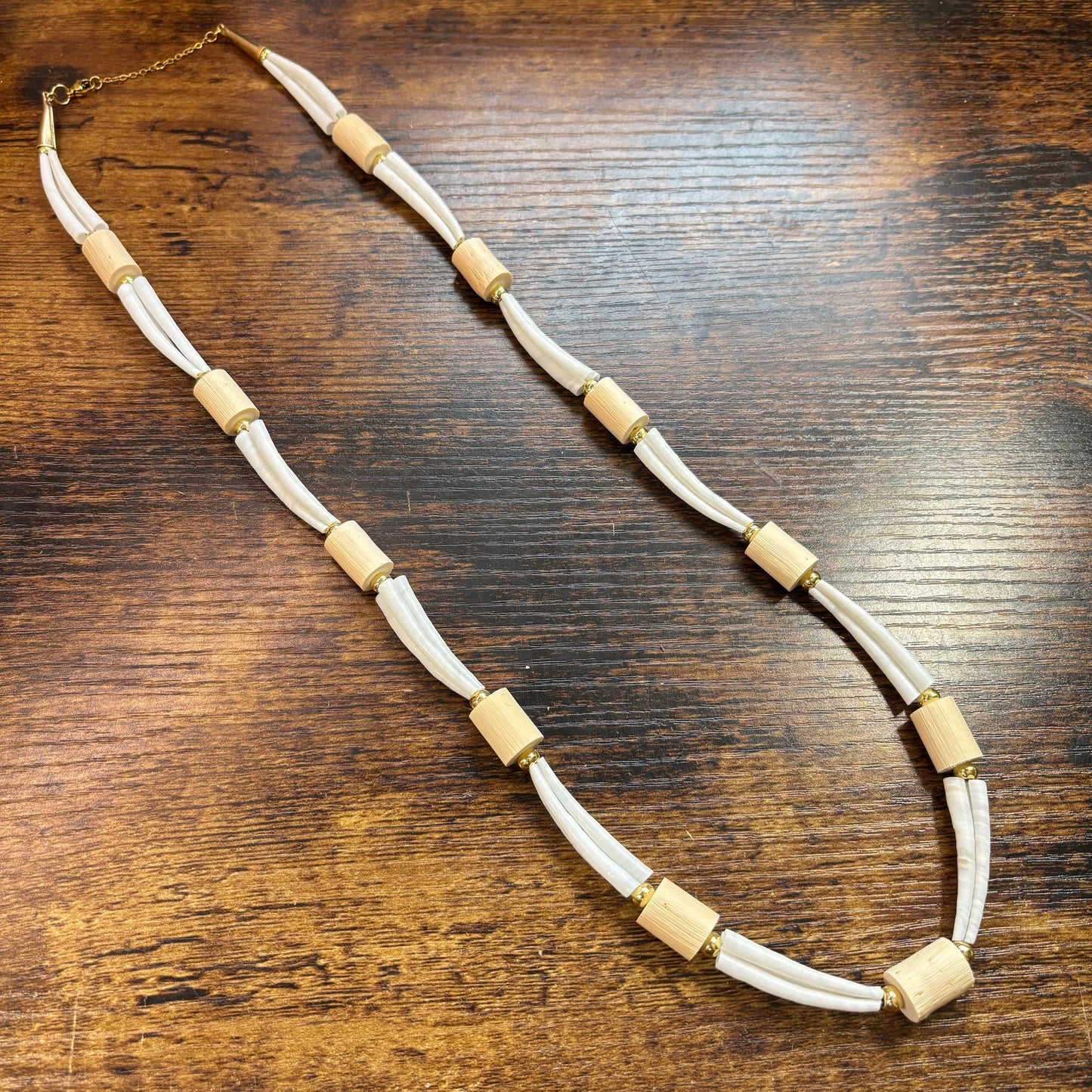 Devils Club x Dentalium Necklace.